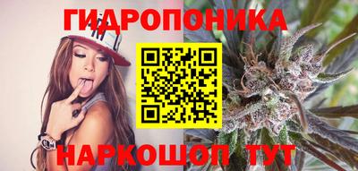 индика Уссурийск