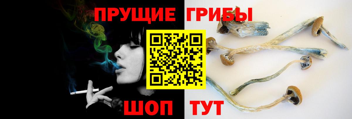 Псилоцибиновые грибы прущие грибы  Вход с VPN  Саранск 